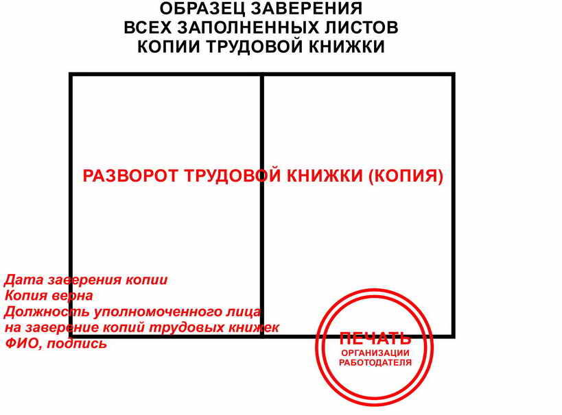 Электронная трудовая книжка в действии: как подтвердить трудовую занятость через госуслуги?