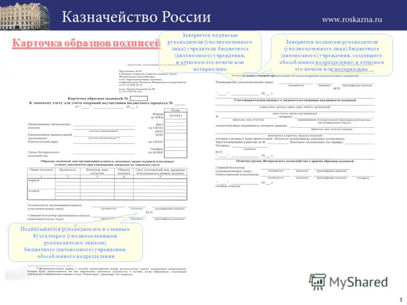 Сбербанк образцы заявления на получение копии карточки с образцами подписей — юрист решит