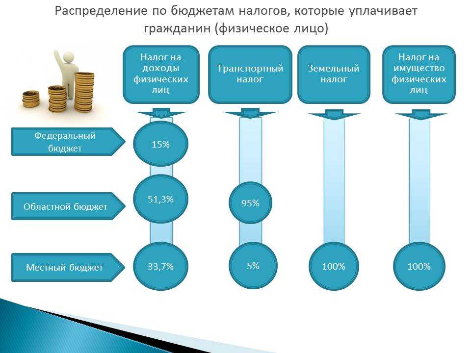 Ликбез по ндс: коротко обо всем, что надо знать про этот налог