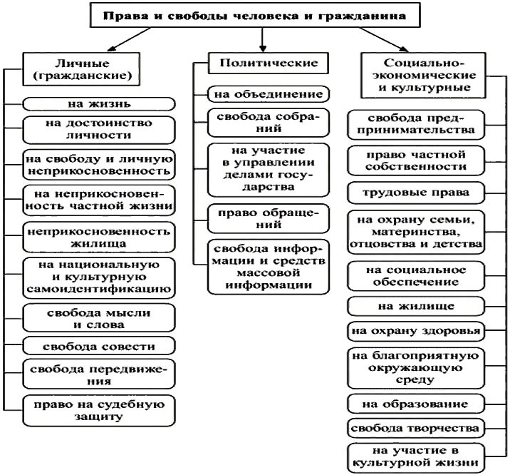 Правовой статус личности: понятие, структура, виды