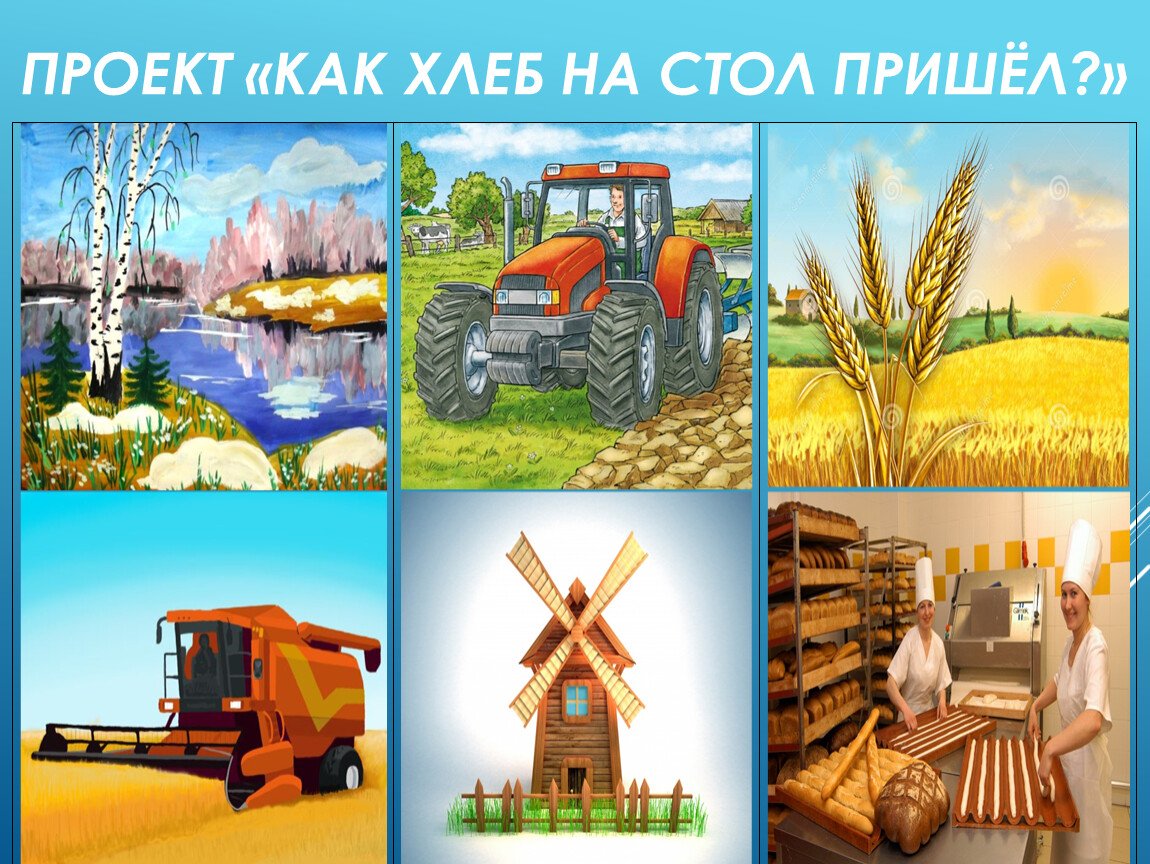 Передача зерна на хранение: бухгалтерские проводки