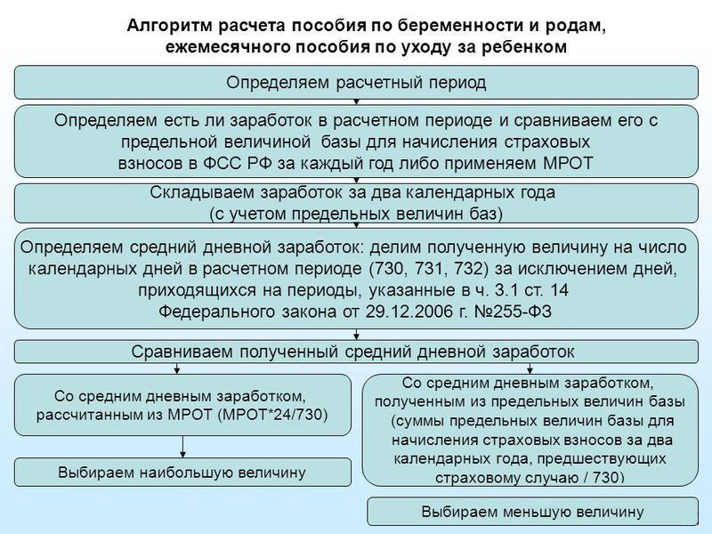 Декретные пособия в 2024 году: сумма, порядок оформления, примеры расчета