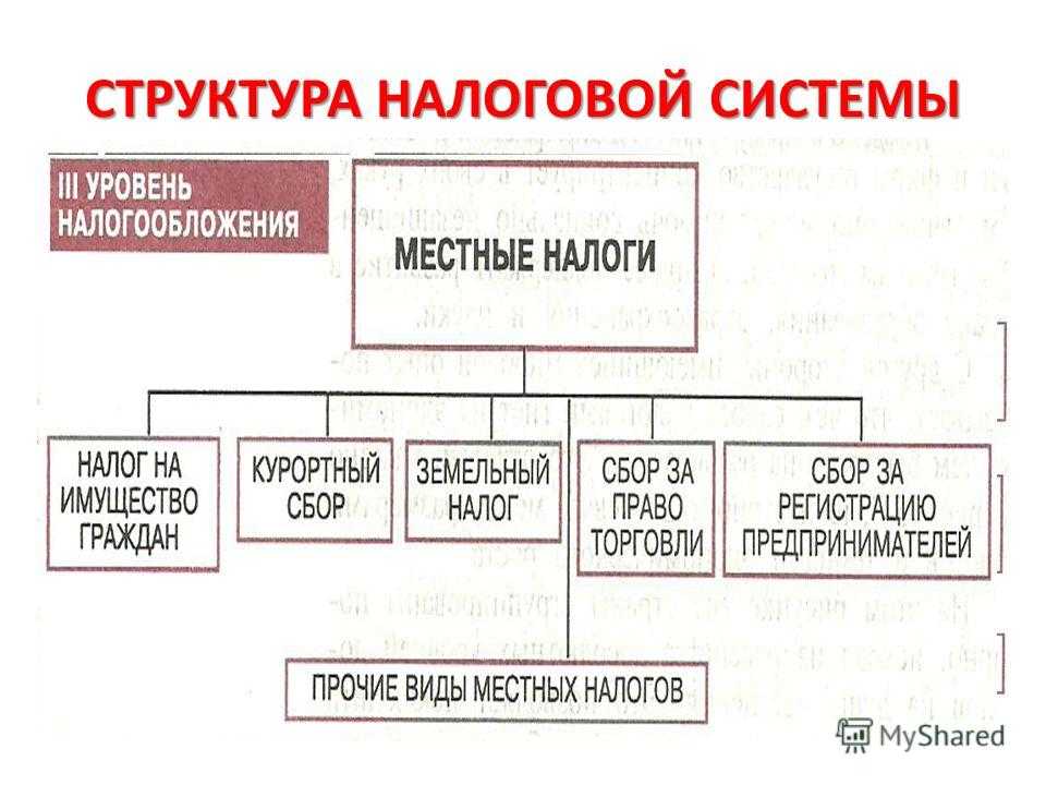 Виды налогов и сборов в рф с примерами: классификация налоговой системы рф
