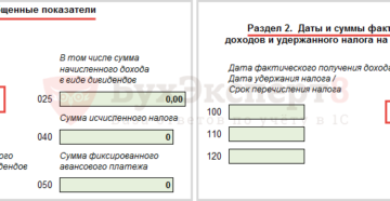 Отчеты по зарплате: изменения, формы и сроки