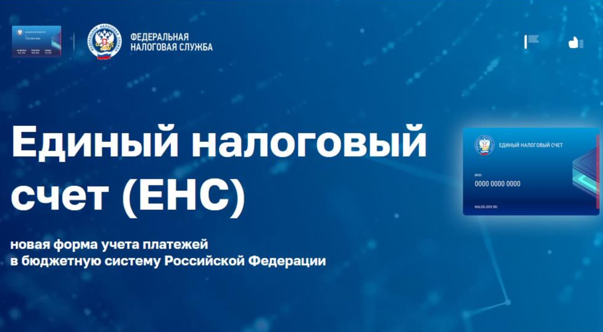 Сроки подачи уведомлений по исчисленным налогам при работе с енс и енп с 2024 года