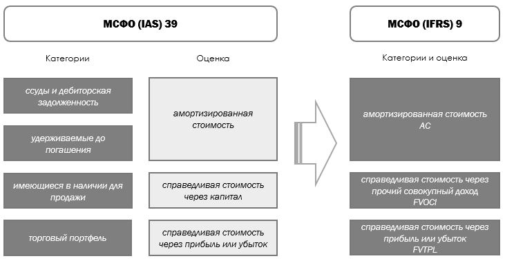 Долевые ценные бумаги: что это такое, виды, что к ним относится