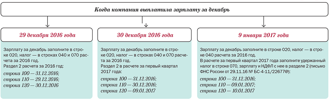 Выплата дивидендов учредителю, график, дата
