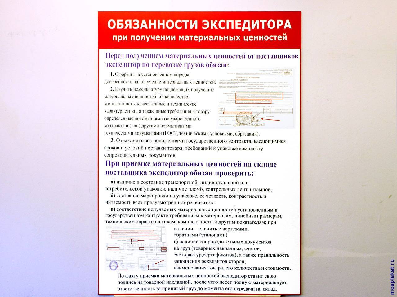 Договор транспортной экспедиции: важное для экспедитора + шаблон