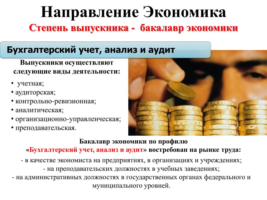 Бухгалтерский учёт: что это, задачи, принципы и порядок организации бухучёта
 / skillbox media