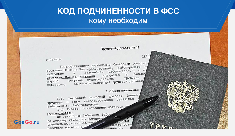 Как узнать код подчиненности фсс в 2024 году