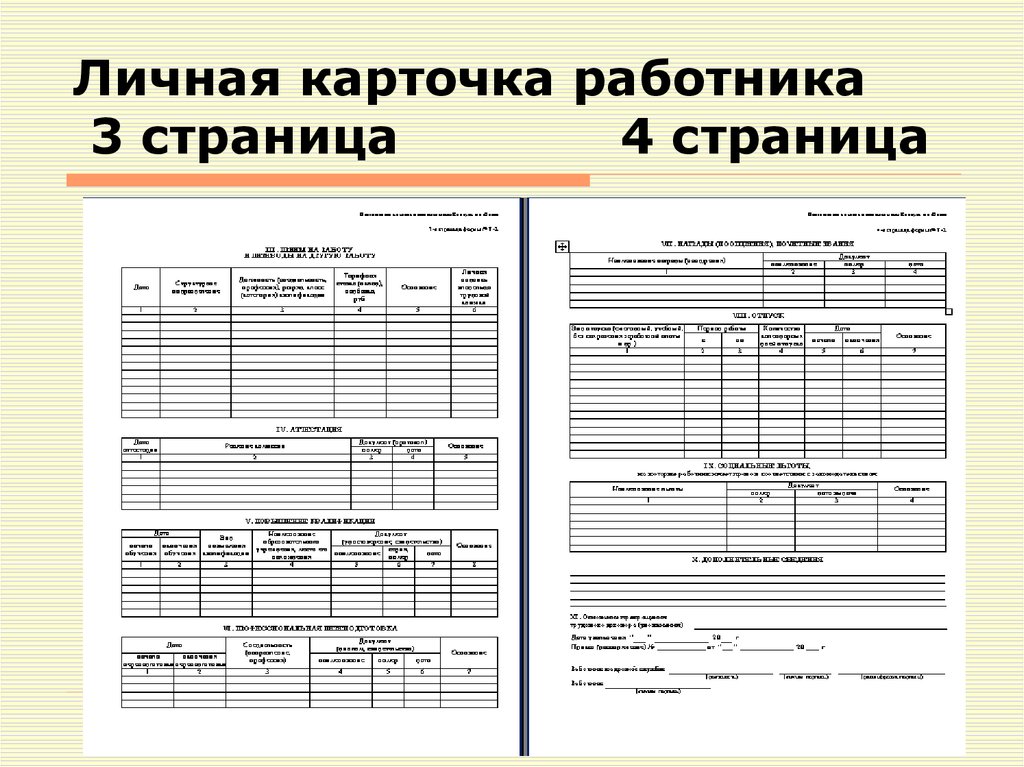 Личная карточка работника - заполняем правильно - все о кадрах