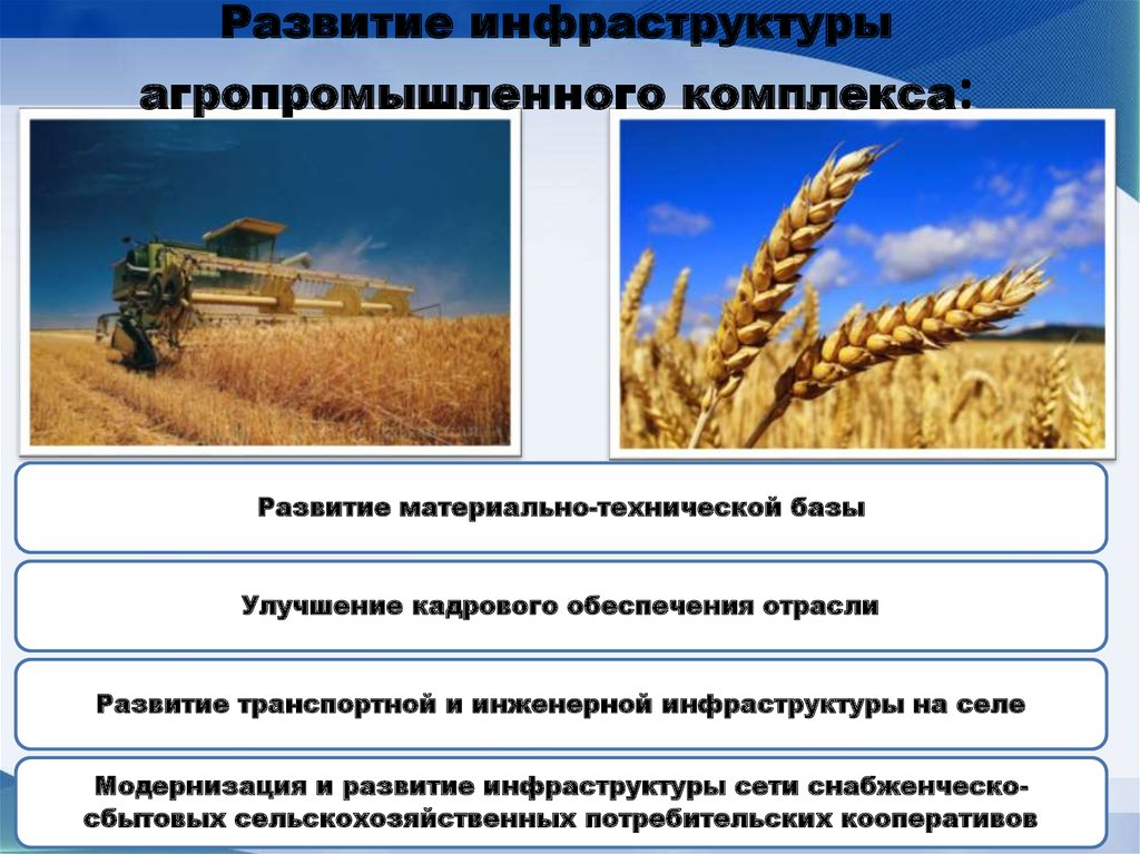 Подписка и покупка бумажной и электронной версий журнала — преподавание истории в школе