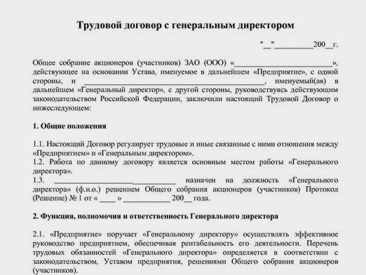 Генеральный директор ооо: процедура назначения и оформление