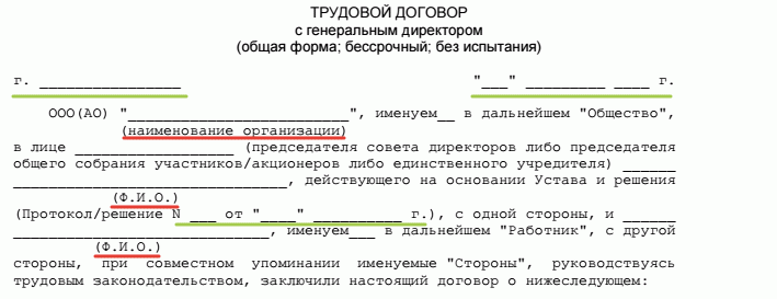 Образец трудового договора с директором ооо