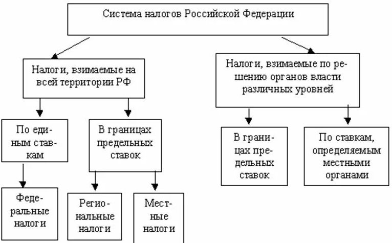 Современная налоговая система: состояние, проблемы и перспективы развития
