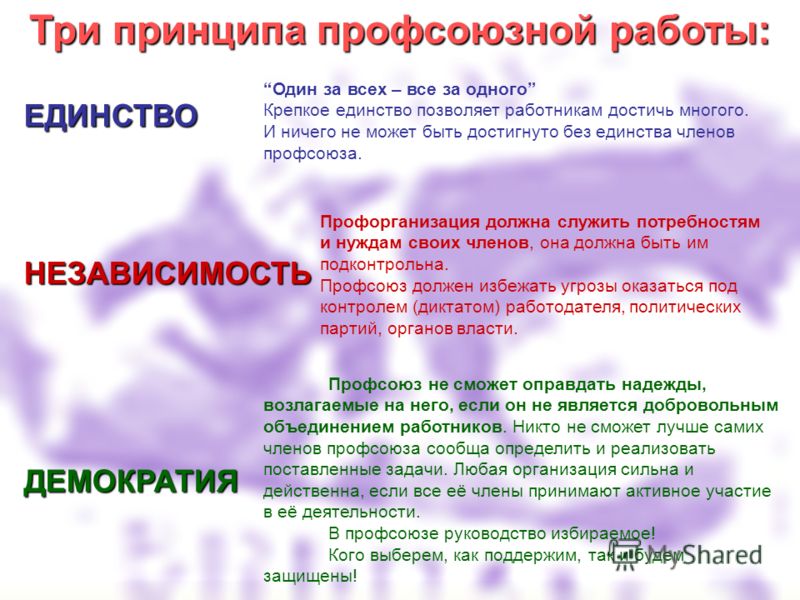 Что дает работнику профсоюз​? – мпо пао "новатэк"