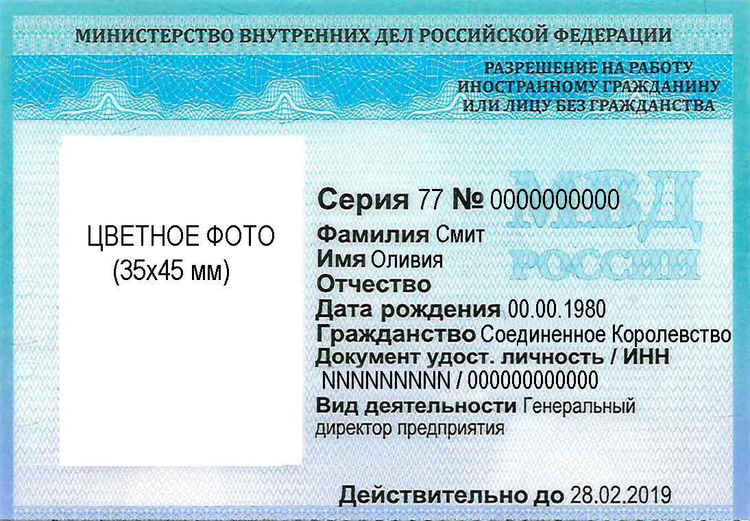 Как иностранцу получить снилс в россии. сроки оформления снилс