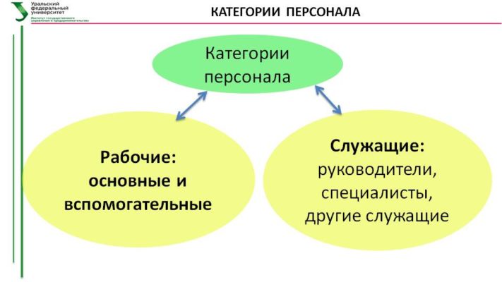 Служащие - какие это профессии и чем они занимаются (обзор 17 специализаций)