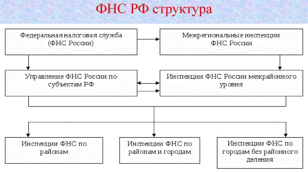 Задачи и функции налоговых органов