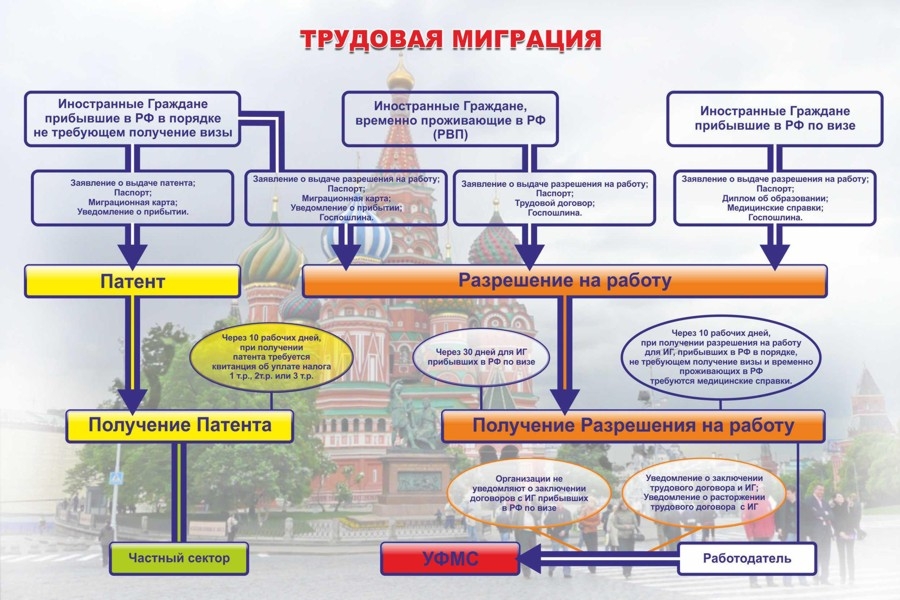 Инструкция по оформлению иностранного мигранта на работу