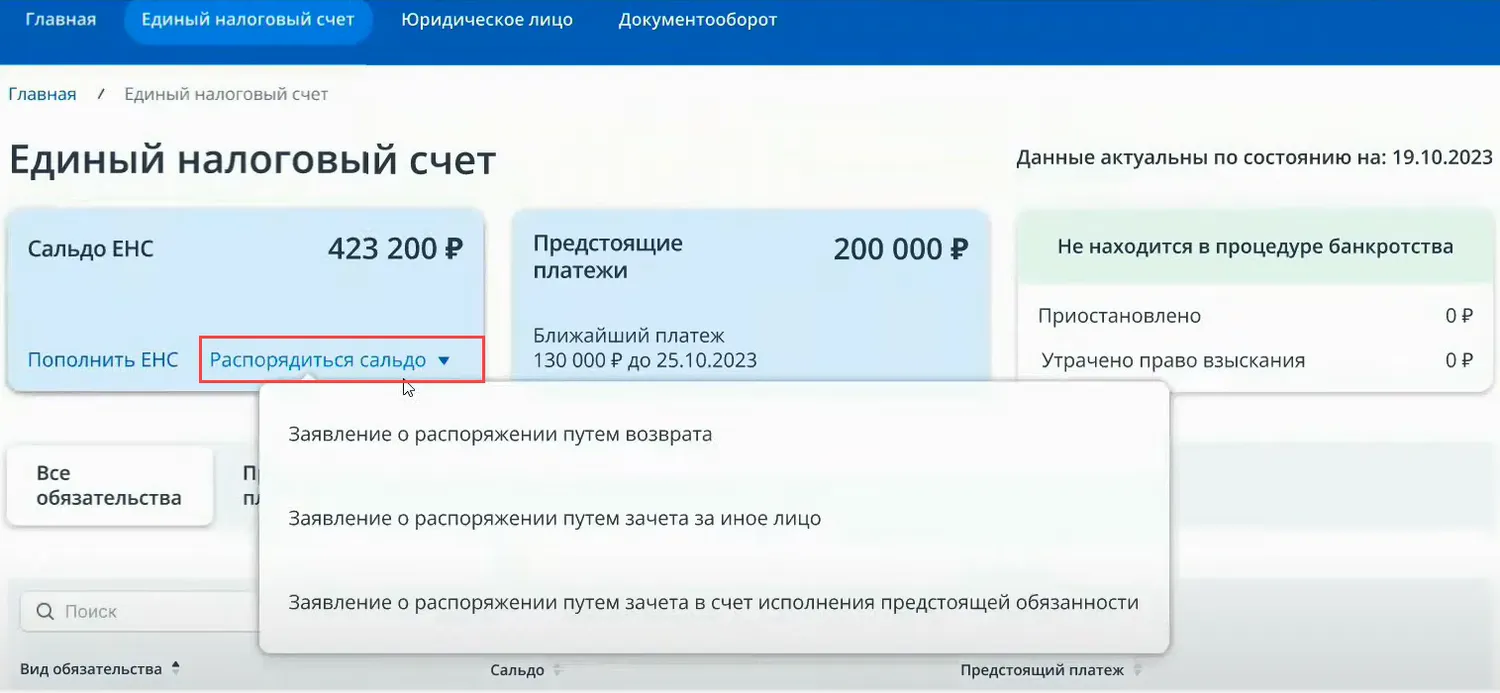 Что означает сумма формирующая положительное сальдо ЕНС налогоплательщика Заявление о распоряжении зачет возврат Как узнать справка Как формируется