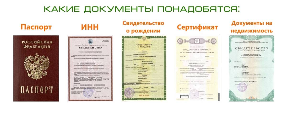25 тысяч из материнского капитала: есть ли выплата в 2024 году?