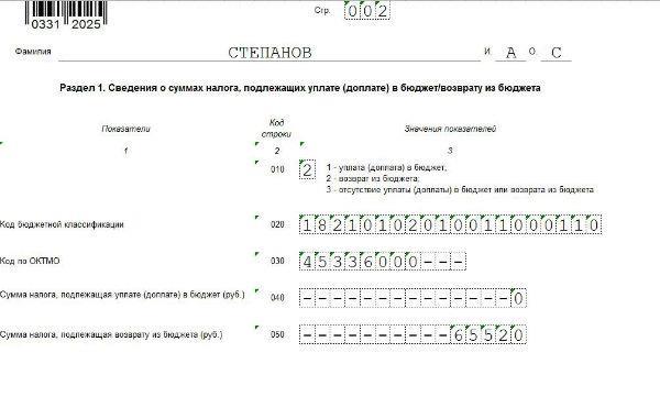 Декларация 3 ндфл 2024 | скачать бланк, программа, налоговая