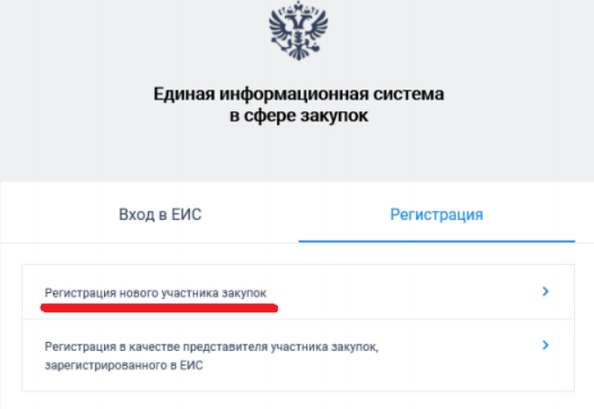 Регистрация в еис: пошаговая инструкция, порядок, как пройти, заказчику, поставщику, 44-фз, 223-фз