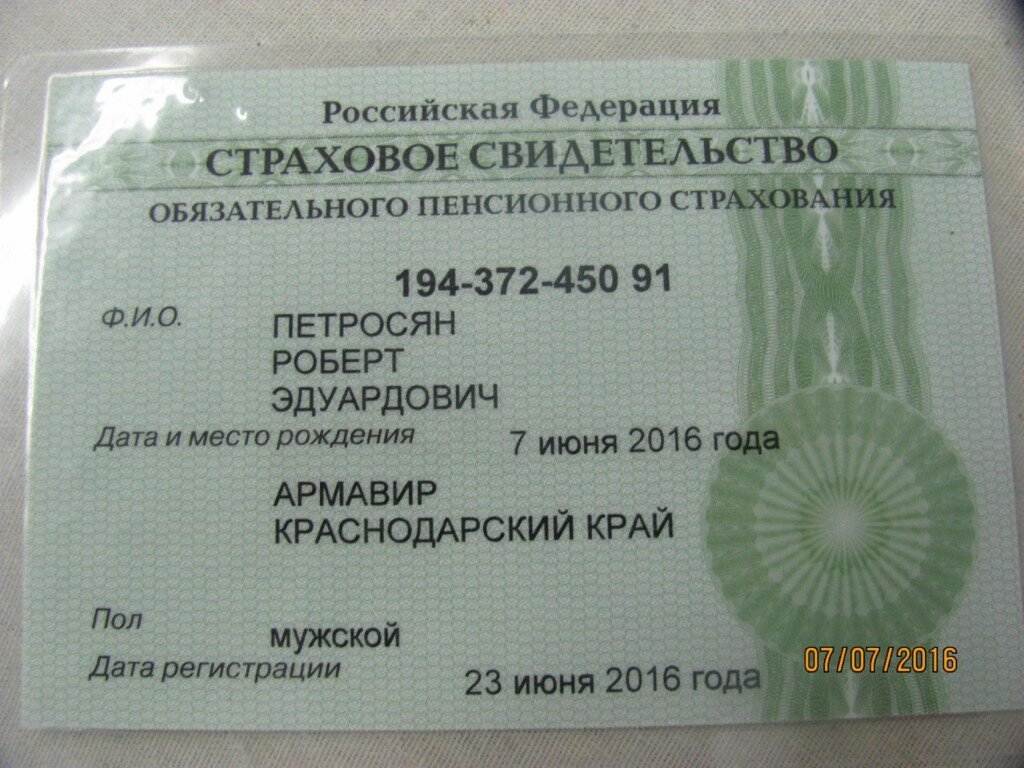 Снилс как узнать номер документа по интернету онлайн