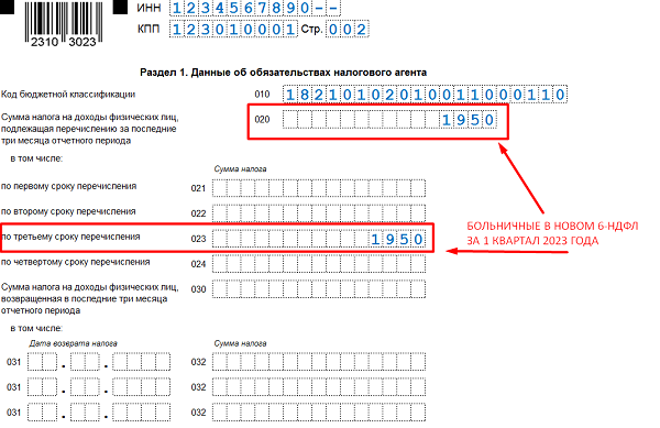 6 ндфл образец