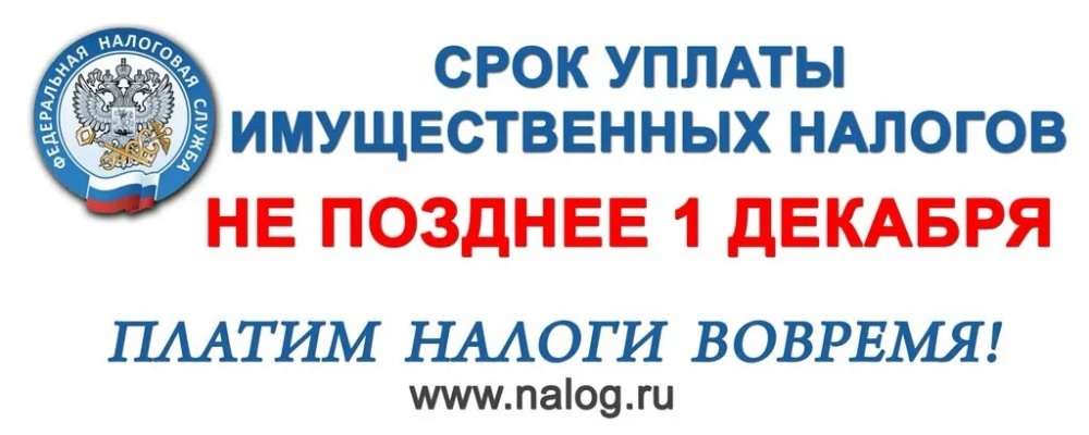 Налог на имущество организаций: изменения с 2024 года