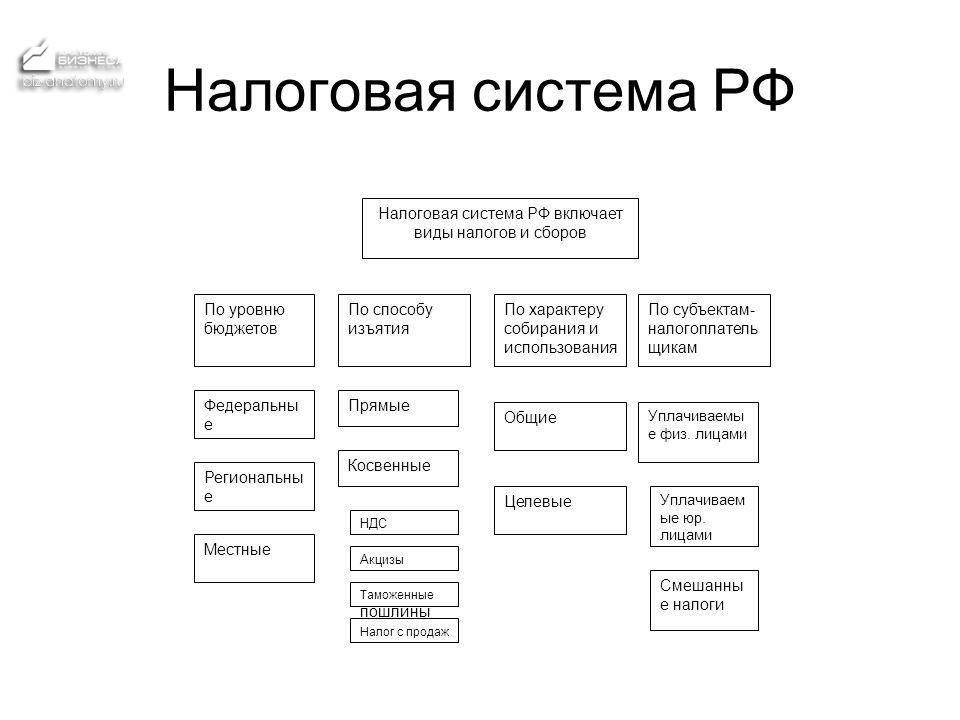 Налог, виды и функции налогов, налоговая нагрузка