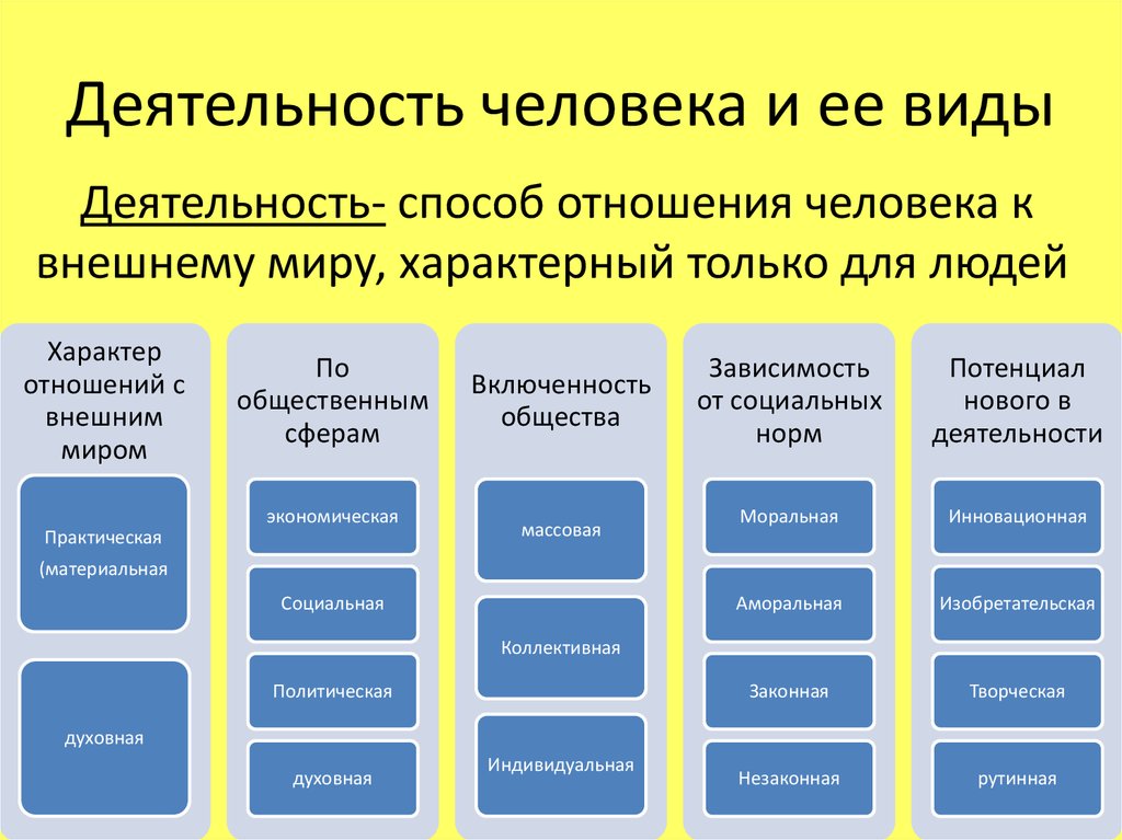 Как правильно выбрать коды оквэд в 2024 году