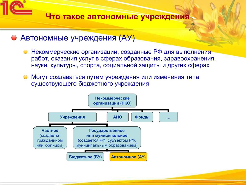 Автономное учреждение. управление, учет, налогообложение