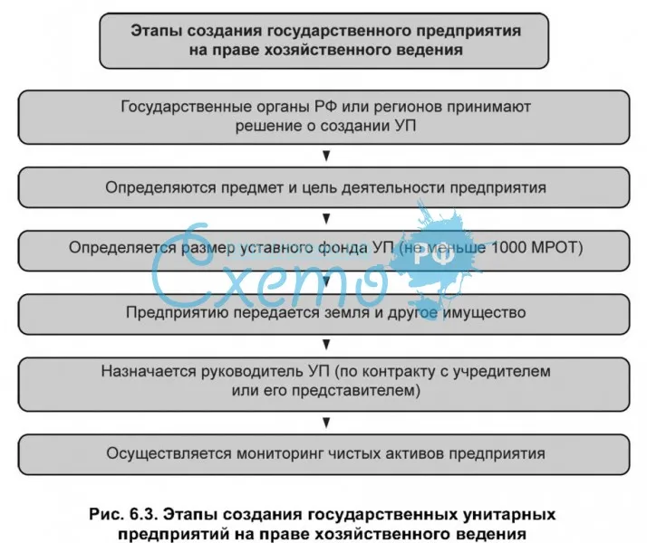 Унитарное предприятие - виды, признаки, участники, особенности