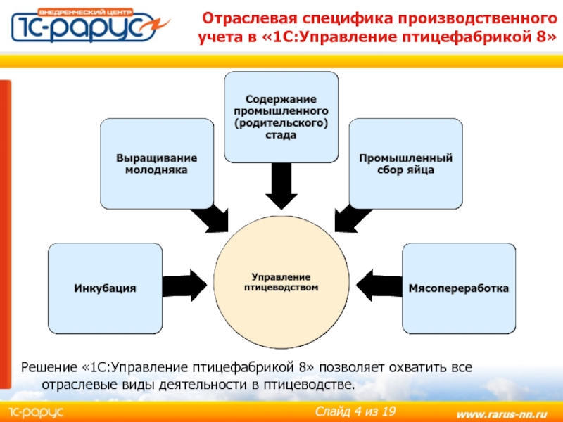 Организация и способы ведения бухгалтерского учета затрат на обычные виды деятельности предприятия в производственной сфере