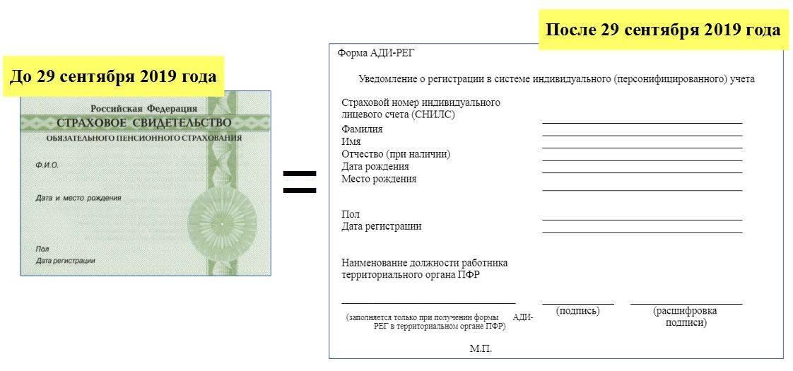 Отмена снилс: когда отменят в россии и как теперь оформлять работников