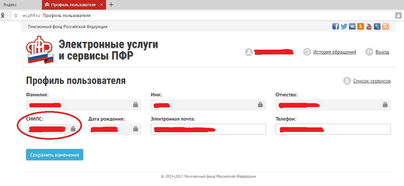 Узнать снилс по инн номеру - бесплатные способы