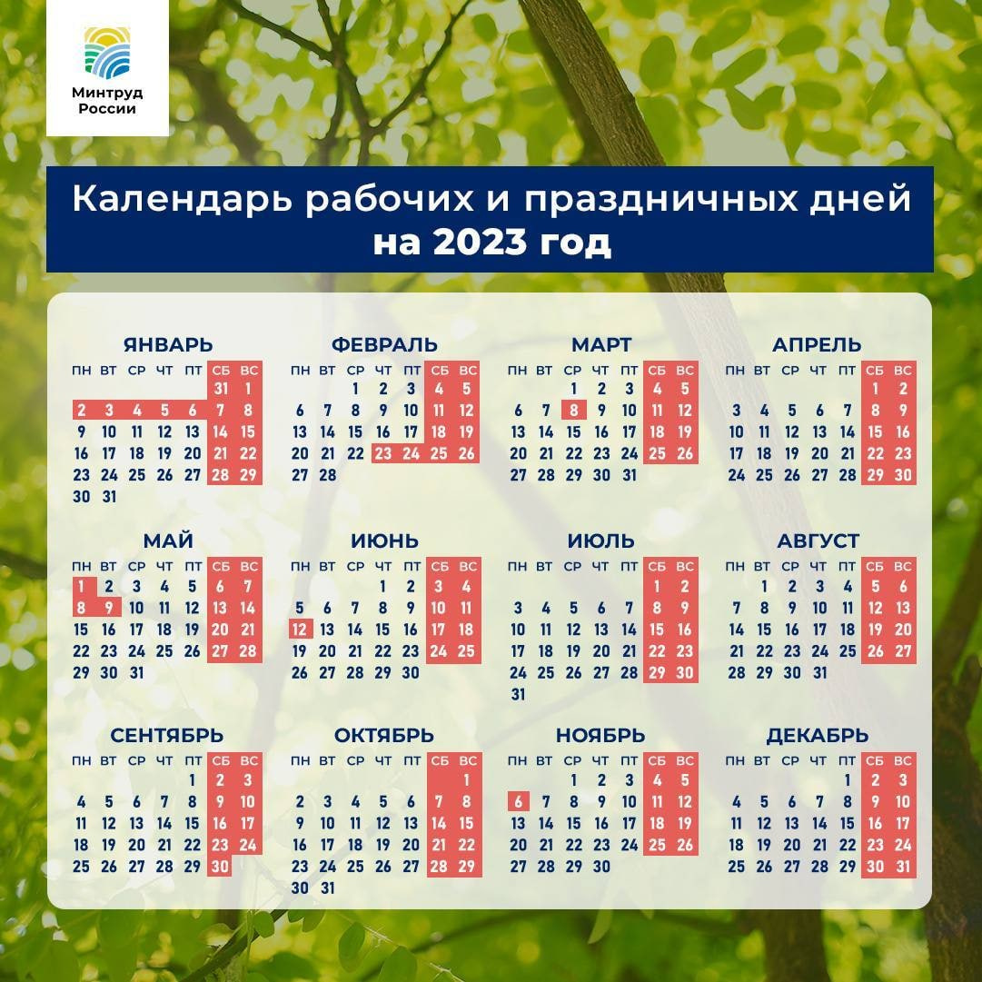 Как отдыхаем в январе 2024 года: отвечаем на вопросы / skillbox media