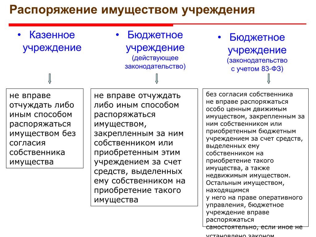 Имущество в составе казны Правовые аспекты Имущество казны отражается на балансе исполнительного органа государственной власти местного самоуправления на который возложены функции управления и распоряжения им