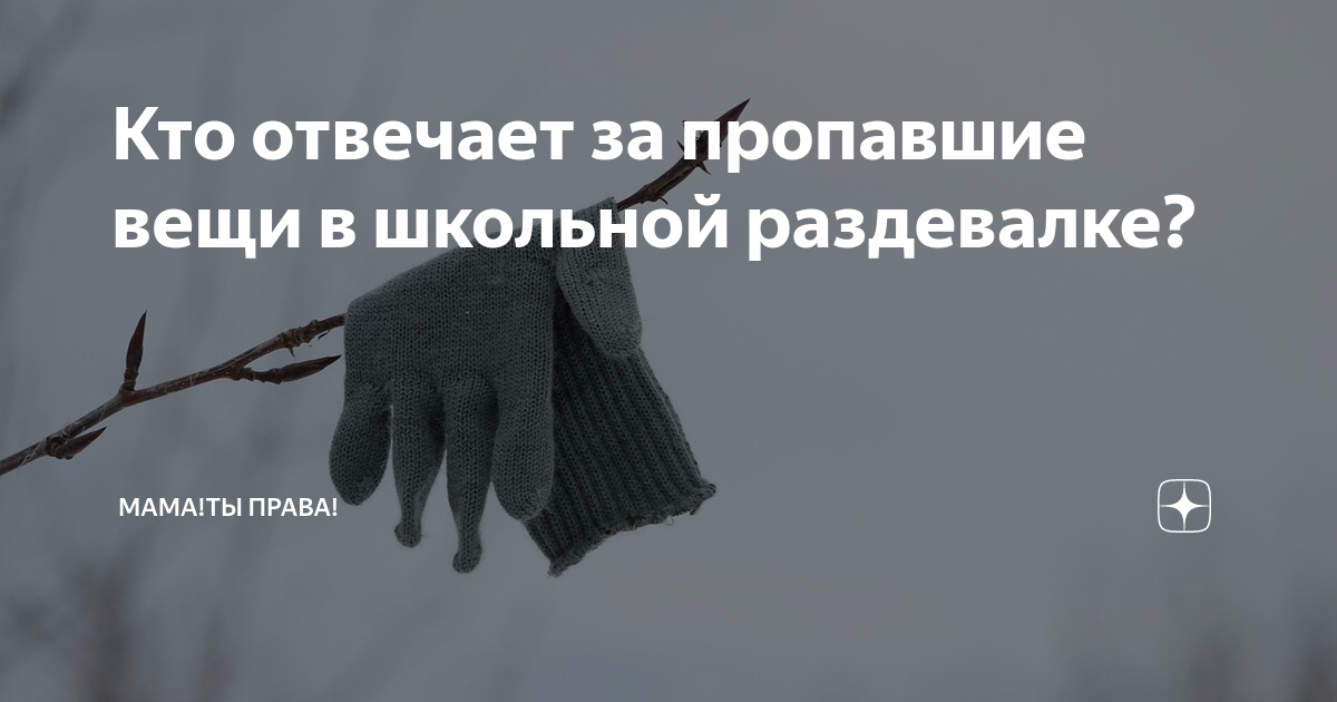 Несет ли школа материальную ответственность за вещи учеников